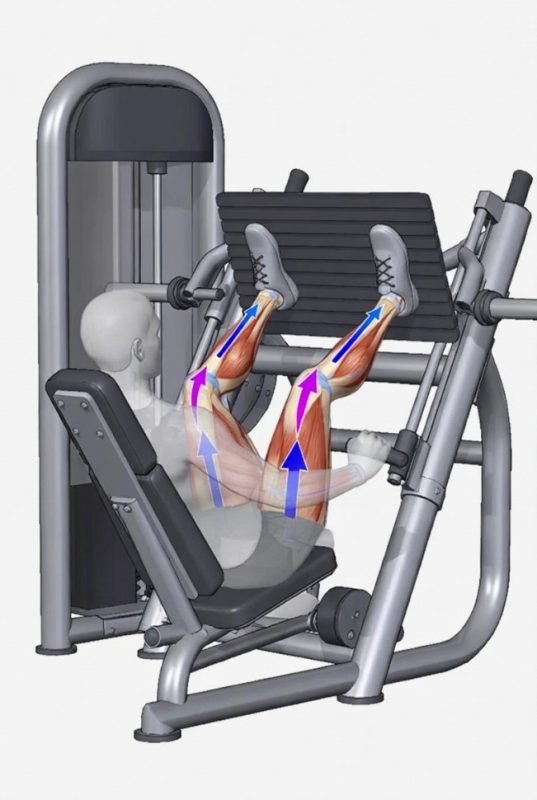 تجهیز باشگاه بدنسازی در کرج
