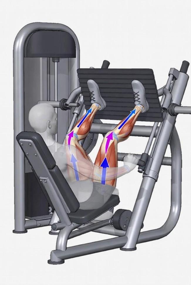 تجهیز باشگاه بدنسازی در کرج